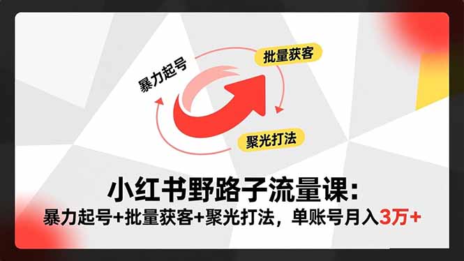 小红书野路子流量课:暴力起号+批量获客+聚光打法,单账号月入3万+-摇钱树