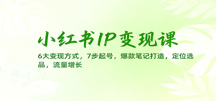 小红书IP变现课:6大变现方式,7步起号,爆款笔记打造,定位选品,流量增长-摇钱树